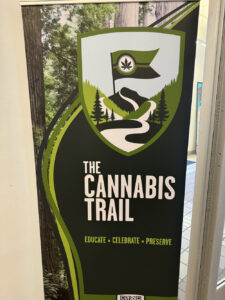 emerald cup 17